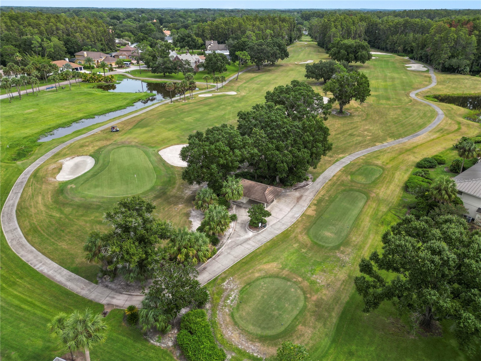 4947 Mill Pond Road #3103 Wesley Chapel FL 33543 TB8442766 image19