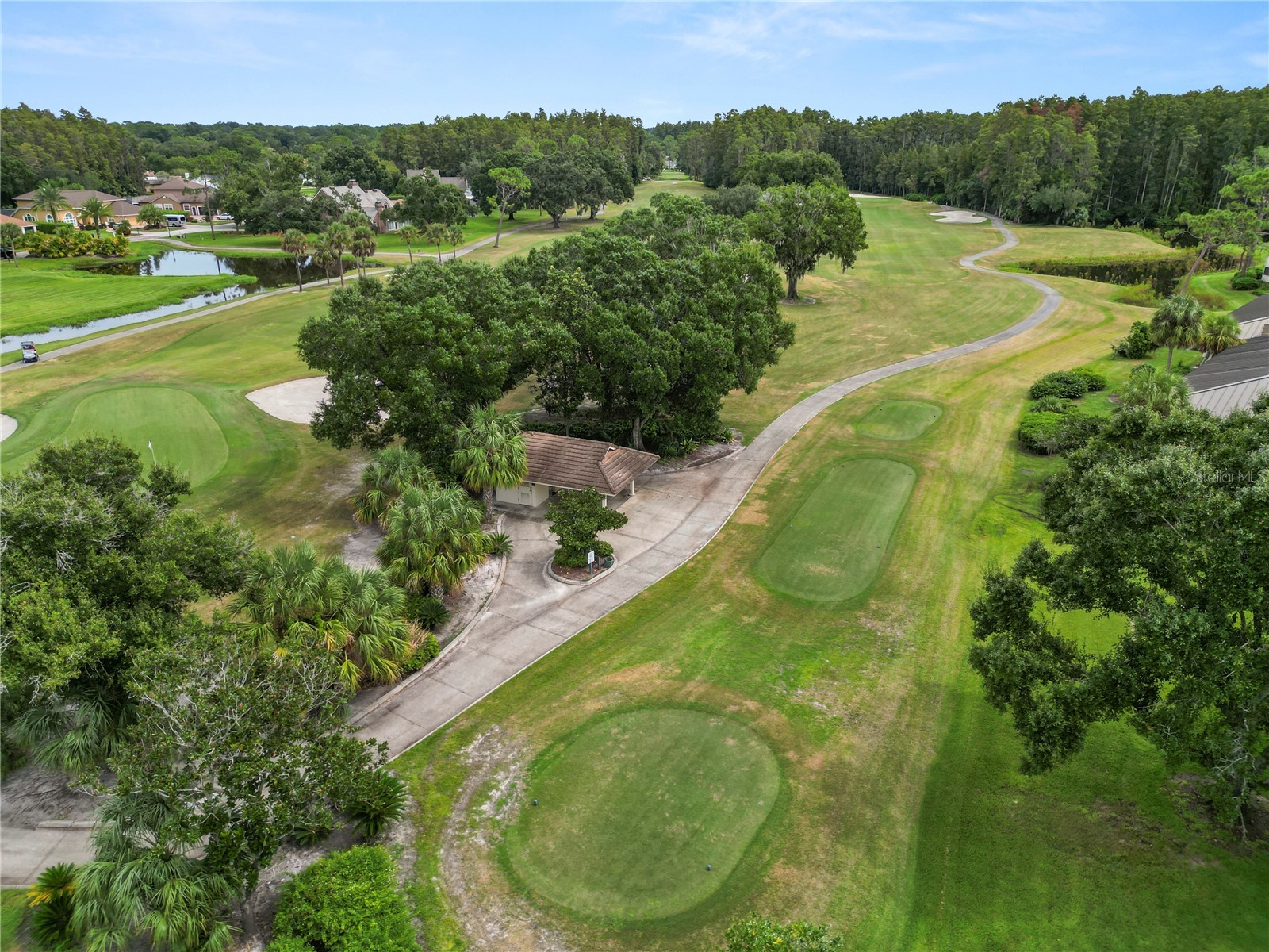 4947 Mill Pond Road #3103 Wesley Chapel FL 33543 TB8442766 image20