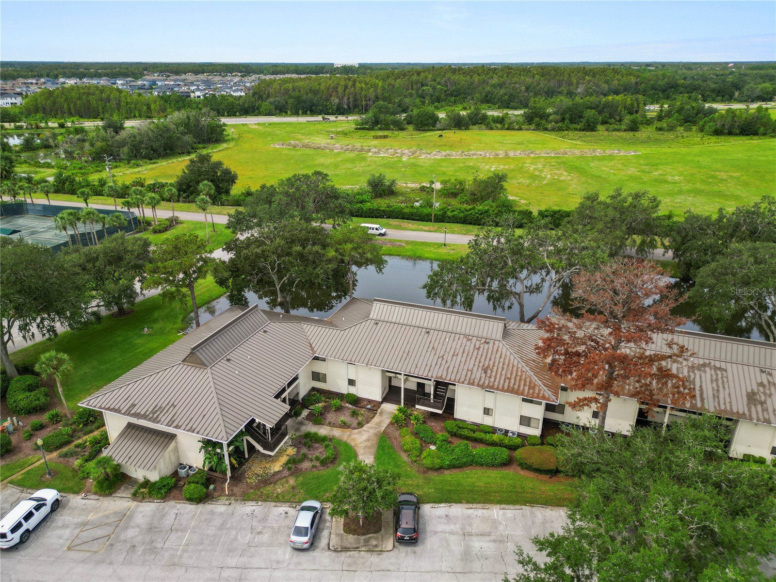 4947 Mill Pond Road #3103 Wesley Chapel FL 33543 TB8442766 image22