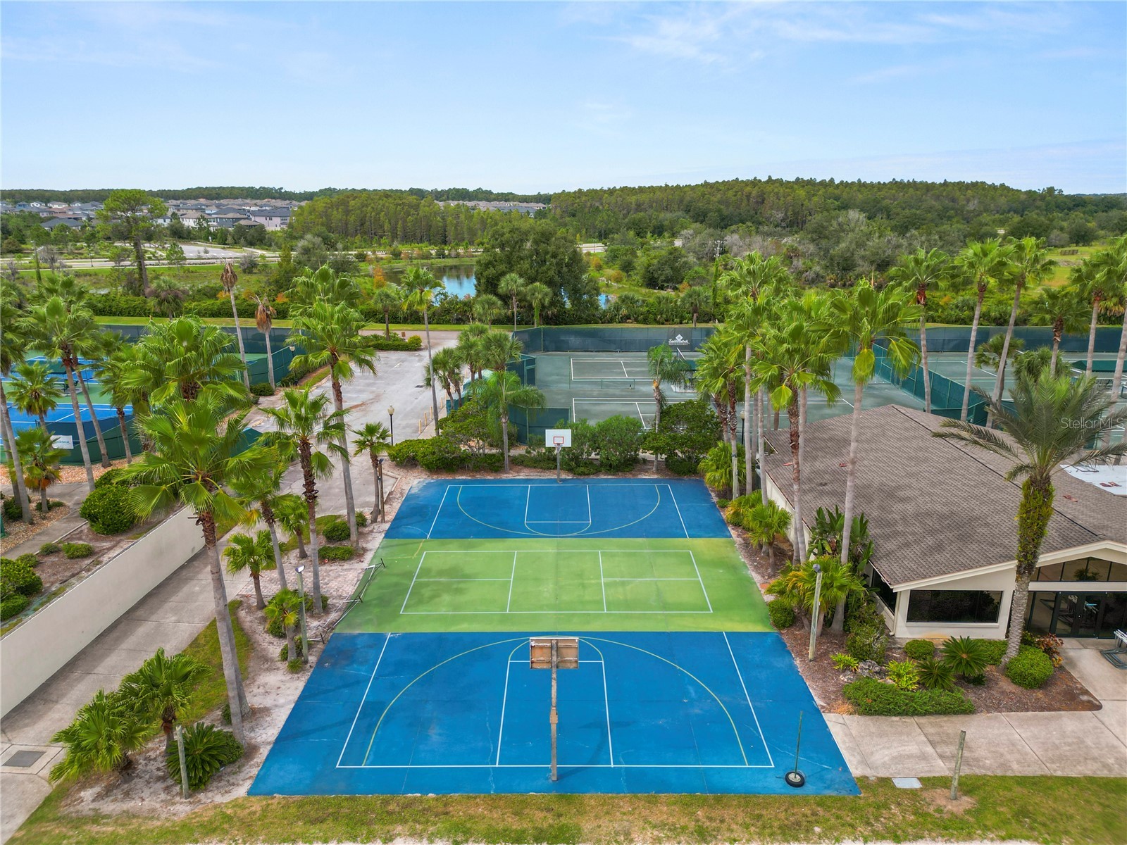 4947 Mill Pond Road #3103 Wesley Chapel FL 33543 TB8442766 image37