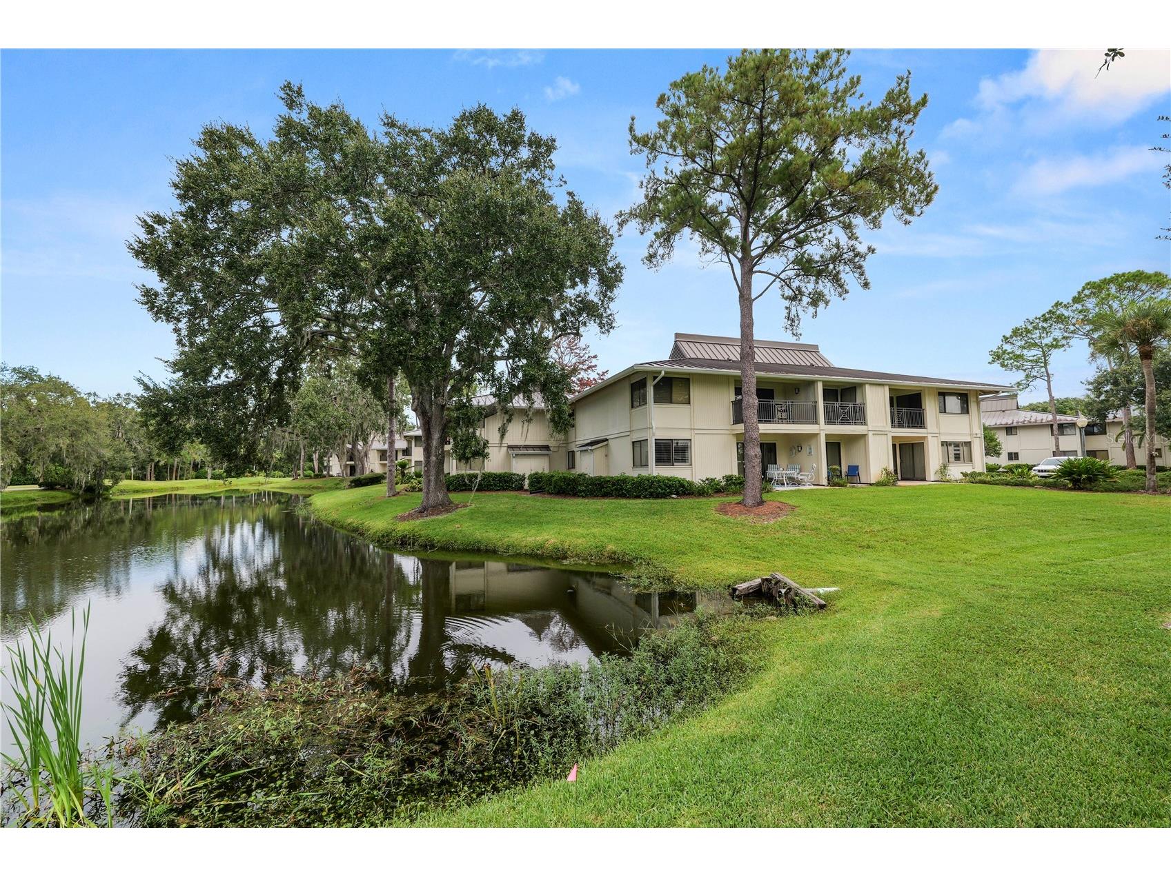 4947 Mill Pond Road #3103 Wesley Chapel FL 33543 TB8442766 image7