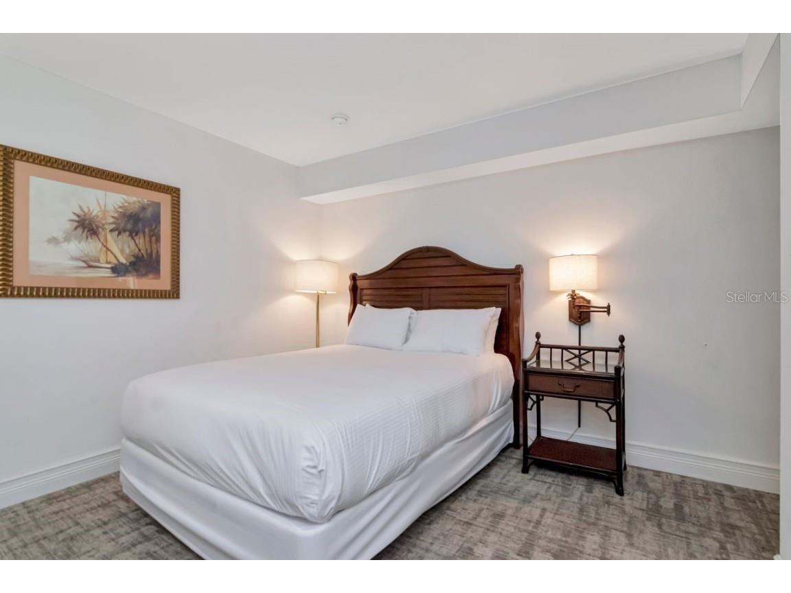 4947 Mill Pond Road #3104/3106 Wesley Chapel FL 33543 TB8411587 image27