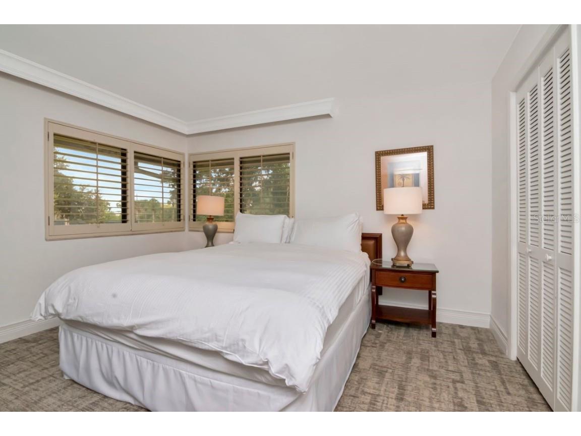 4947 Mill Pond Road #3104/3106 Wesley Chapel FL 33543 TB8411587 image29