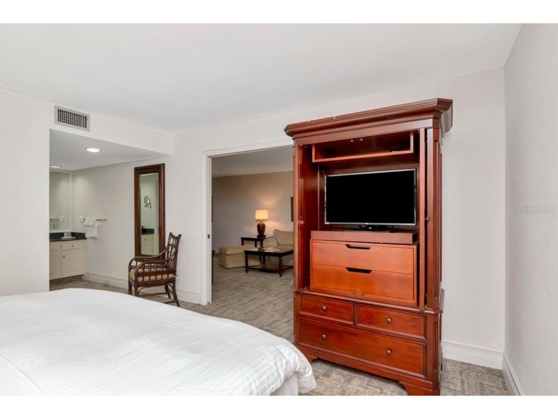 4947 Mill Pond Road #3104/3106 Wesley Chapel FL 33543 TB8411587 image31