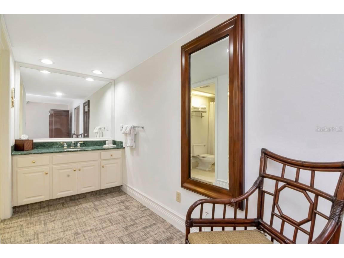 4947 Mill Pond Road #3104/3106 Wesley Chapel FL 33543 TB8411587 image34