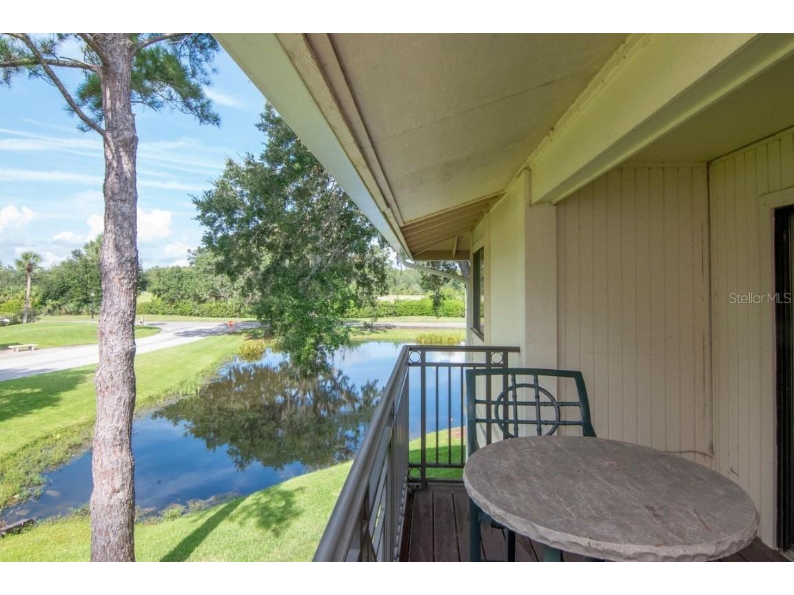 4947 Mill Pond Road #3104/3106 Wesley Chapel FL 33543 TB8411587 image45