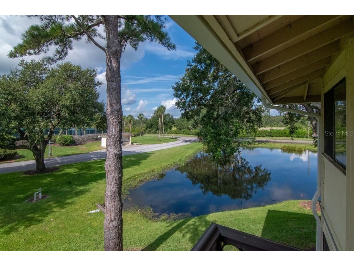 4947 Mill Pond Road #3104/3106 Wesley Chapel FL 33543 TB8411587 image46