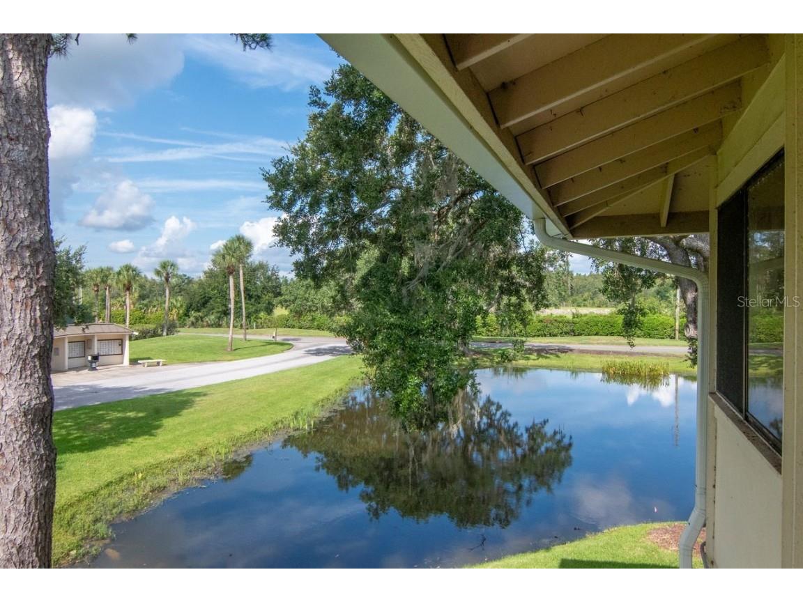 4947 Mill Pond Road #3104/3106 Wesley Chapel FL 33543 TB8411587 image47