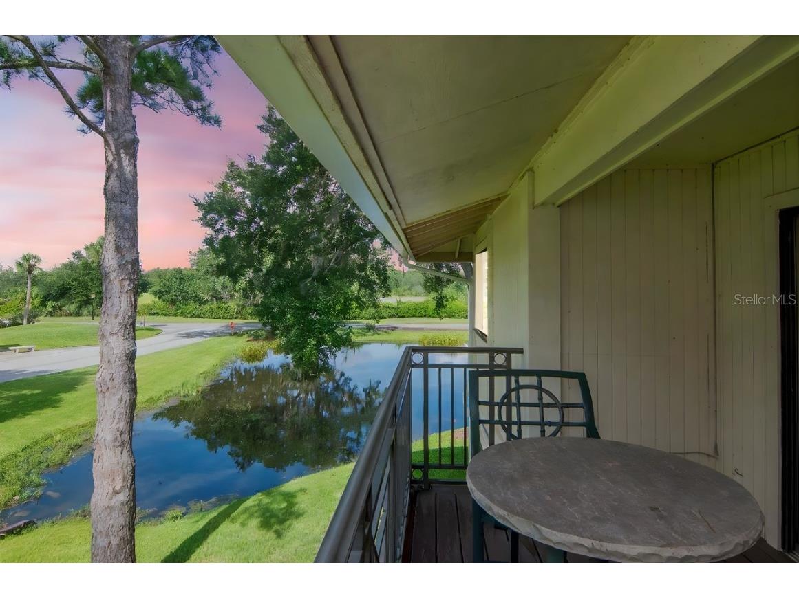 4947 Mill Pond Road #3104/3106 Wesley Chapel FL 33543 TB8411587 image5