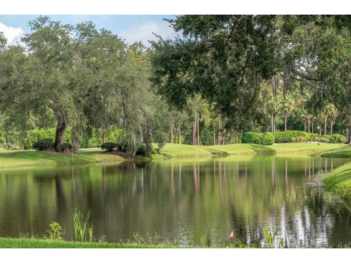 4947 Mill Pond Road #3104/3106 Wesley Chapel FL 33543 TB8411587 image54