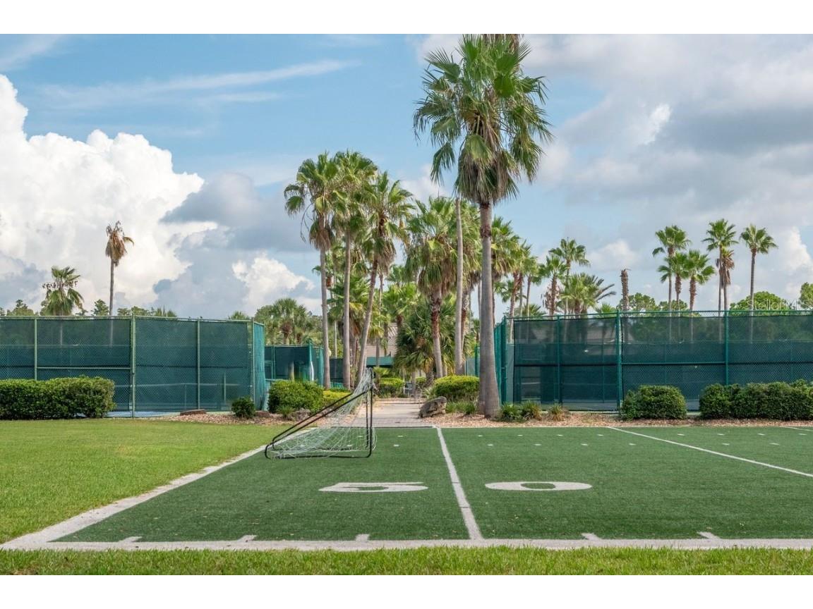 4947 Mill Pond Road #3104/3106 Wesley Chapel FL 33543 TB8411587 image56