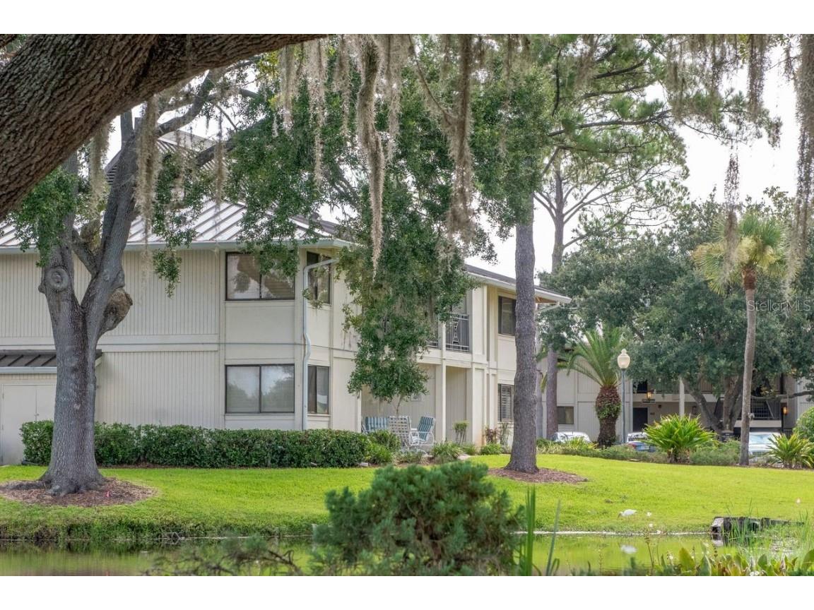 4947 Mill Pond Road #3104/3106 Wesley Chapel FL 33543 TB8411587 image57