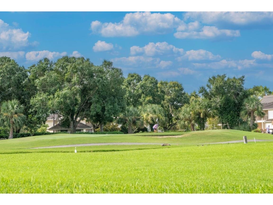 4947 Mill Pond Road #3104/3106 Wesley Chapel FL 33543 TB8411587 image58