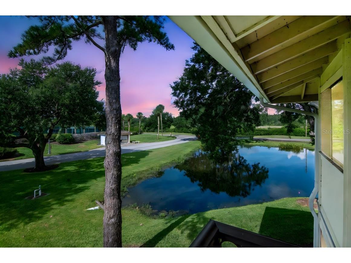 4947 Mill Pond Road #3104/3106 Wesley Chapel FL 33543 TB8411587 image6