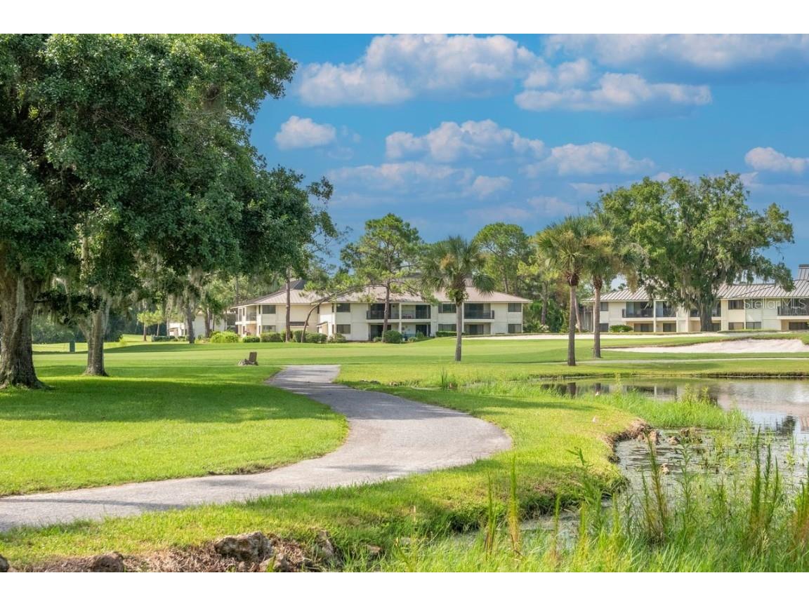 4947 Mill Pond Road #3104/3106 Wesley Chapel FL 33543 TB8411587 image60