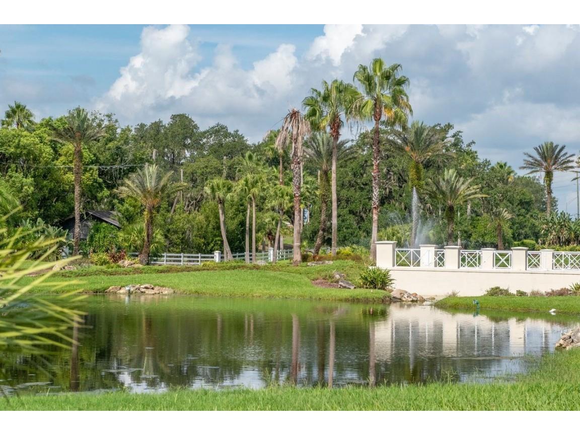 4947 Mill Pond Road #3104/3106 Wesley Chapel FL 33543 TB8411587 image61