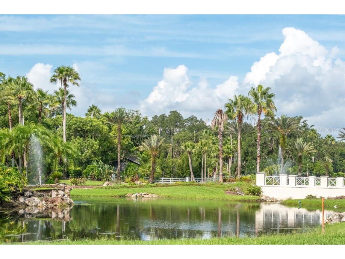 4947 Mill Pond Road #3104/3106 Wesley Chapel FL 33543 TB8411587 image62