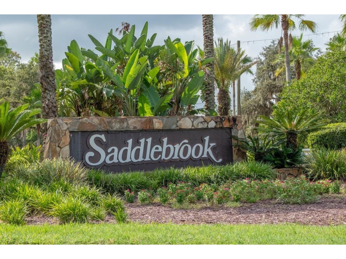 4947 Mill Pond Road #3104/3106 Wesley Chapel FL 33543 TB8411587 image63