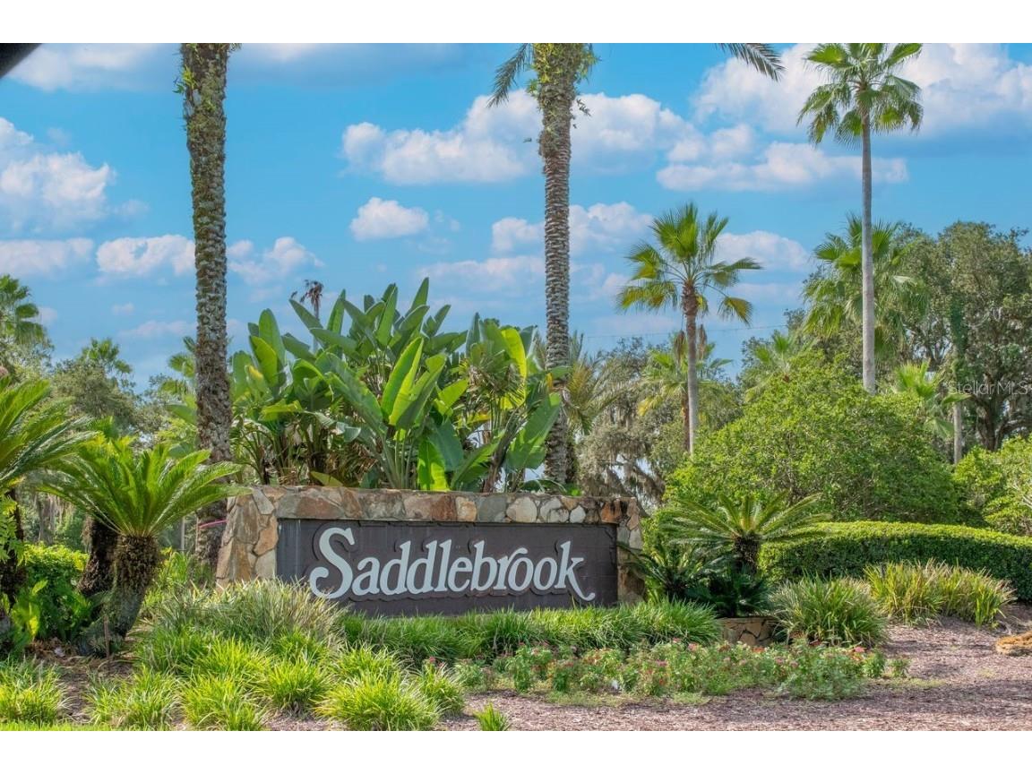 4947 Mill Pond Road #3104/3106 Wesley Chapel FL 33543 TB8411587 image64