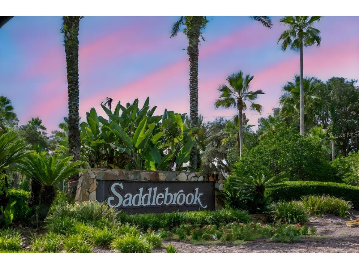 4947 Mill Pond Road #3104/3106 Wesley Chapel FL 33543 TB8411587 image7