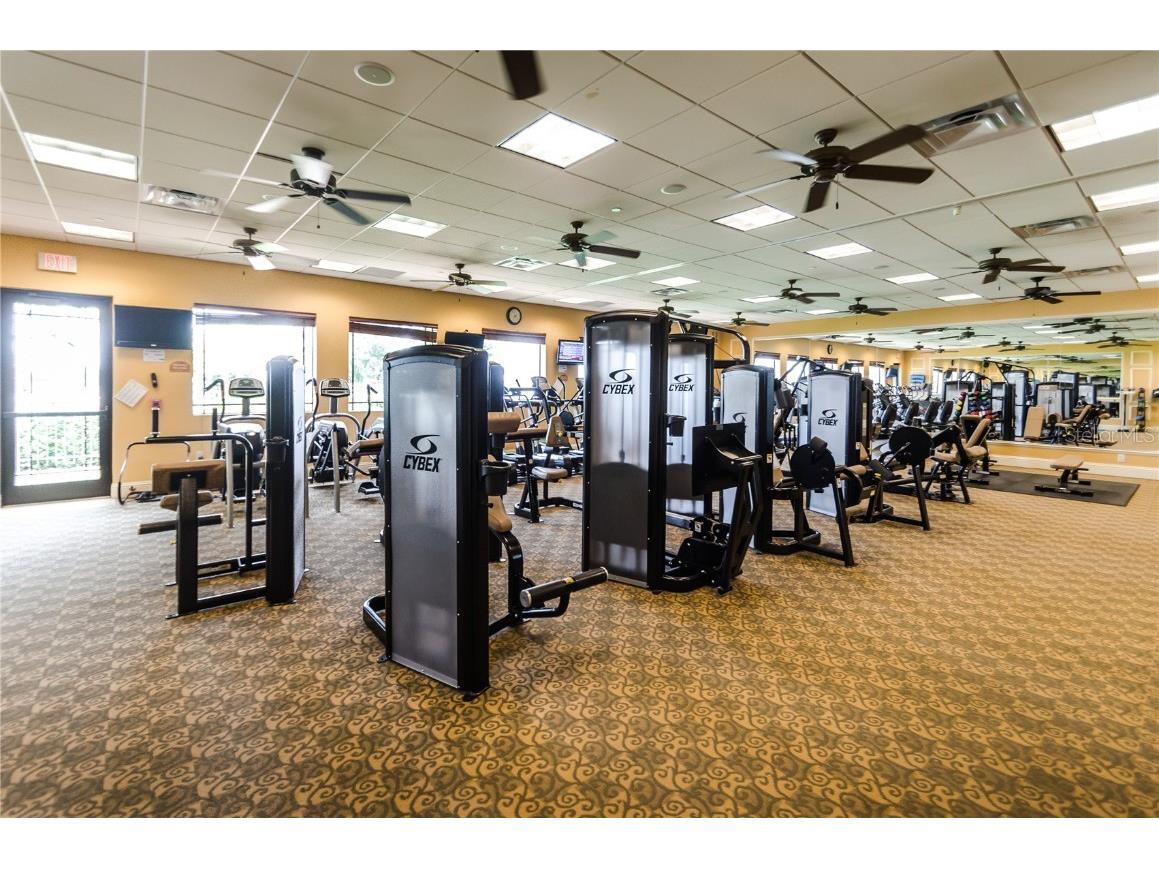 4947 Sandy Brook Circle Wimauma FL 33598 TB8411354 image63