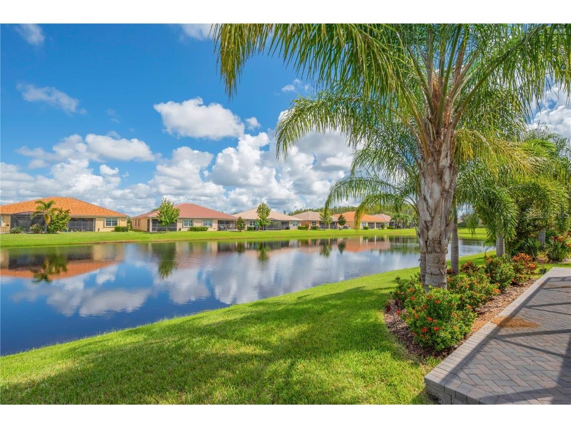 4948 Grand Banks Drive Wimauma FL 33598 TB8423241 image29