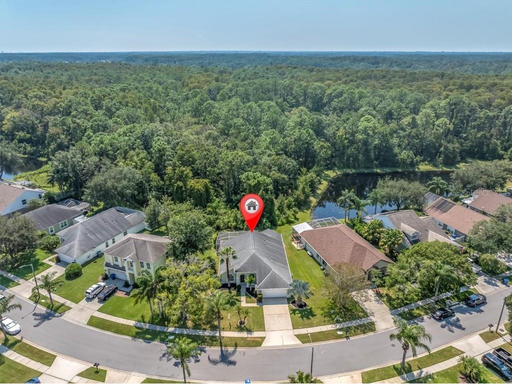 4948 Ridgemoor Circle Palm Harbor FL 34685 TB8427807 image1