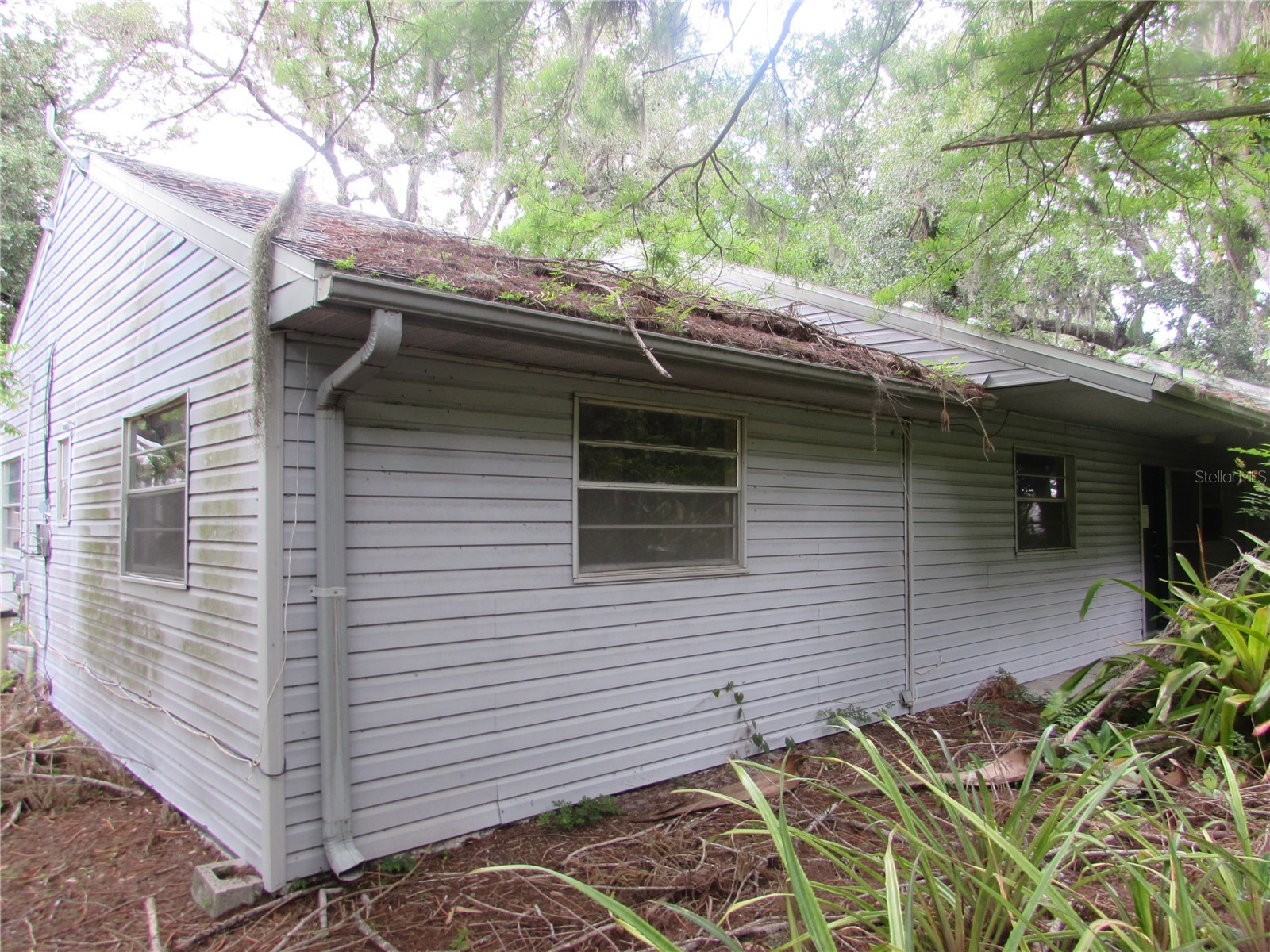 4949 Dorothy Avenue Sarasota FL 34235 A4696711 image1