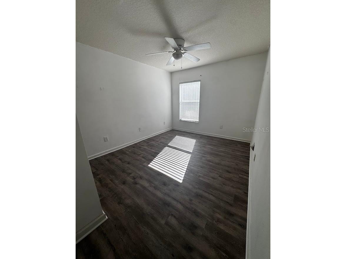 495 Painted Leaf Drive Brooksville FL 34604 TB8501877 image10