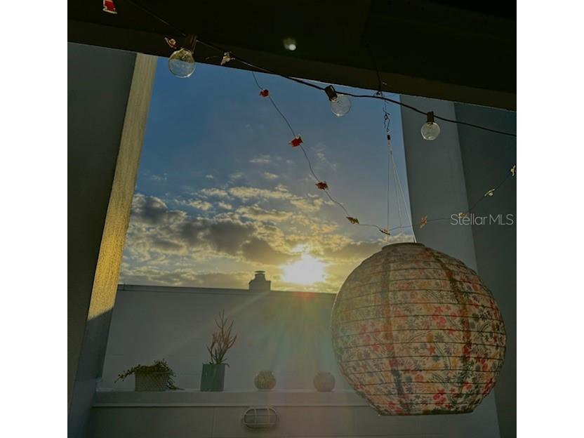 4950 Bayshore Boulevard #13C Tampa FL 33611 TB8306074 image27