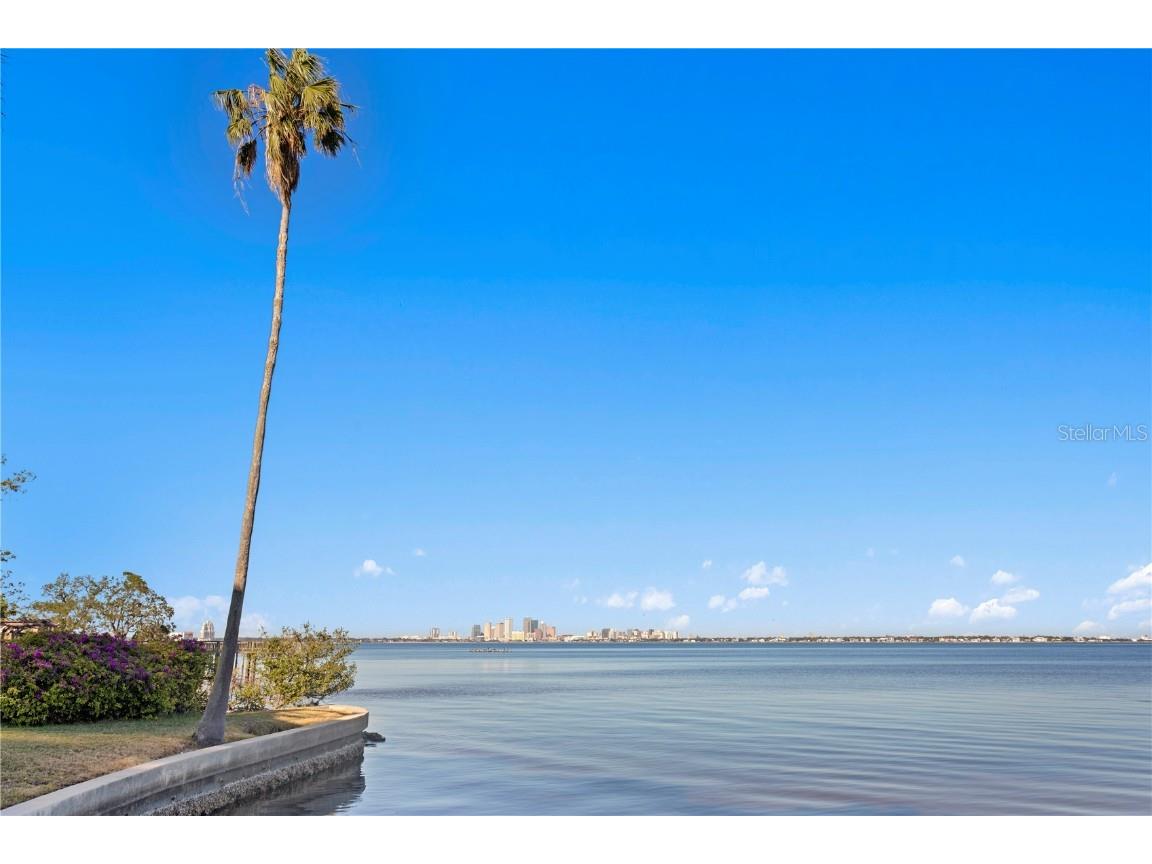 4950 Bayshore Boulevard #13C Tampa FL 33611 TB8306074 image28