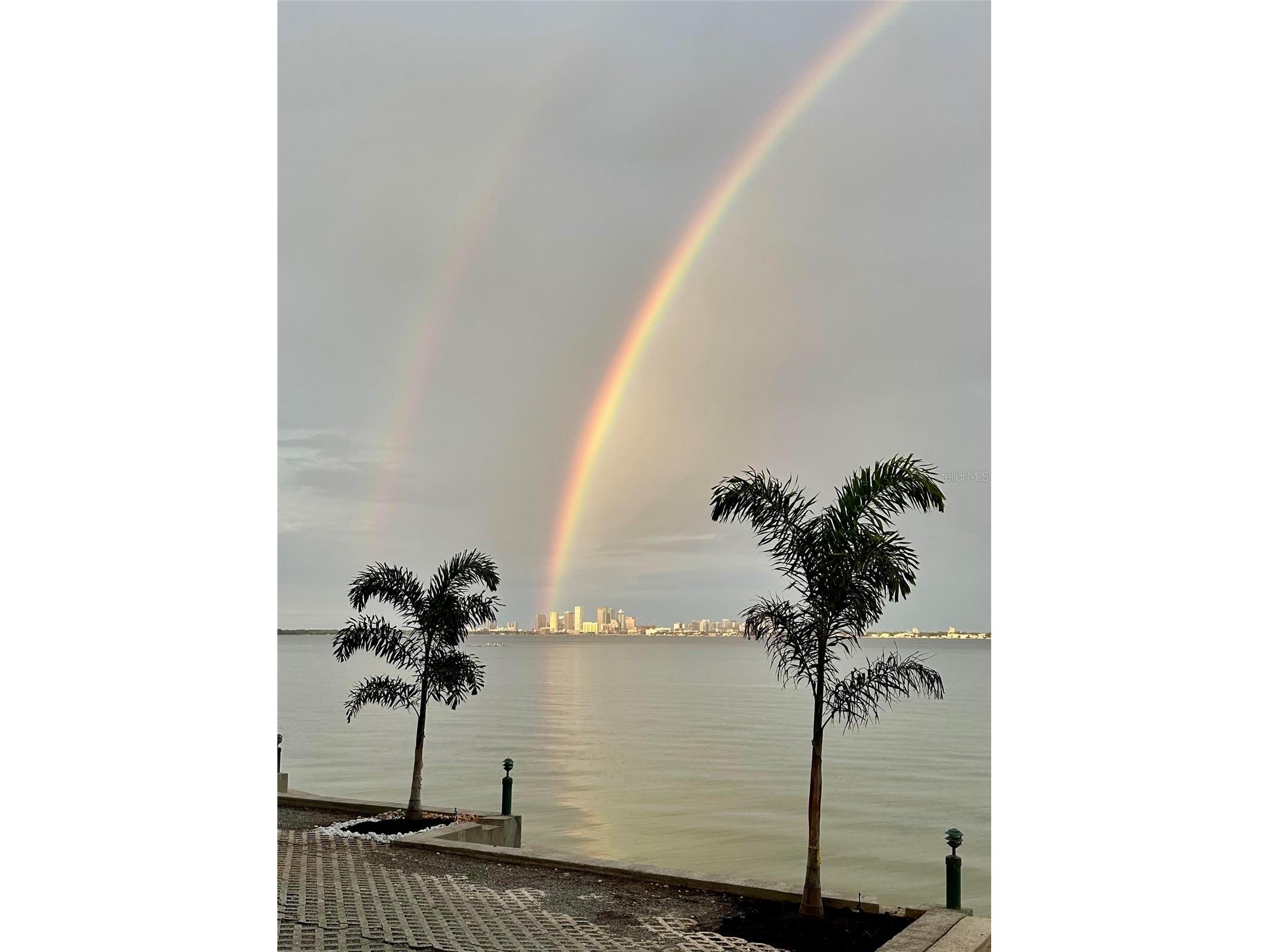 4950 Bayshore Boulevard #22 Tampa FL 33611 TB8485618 image100