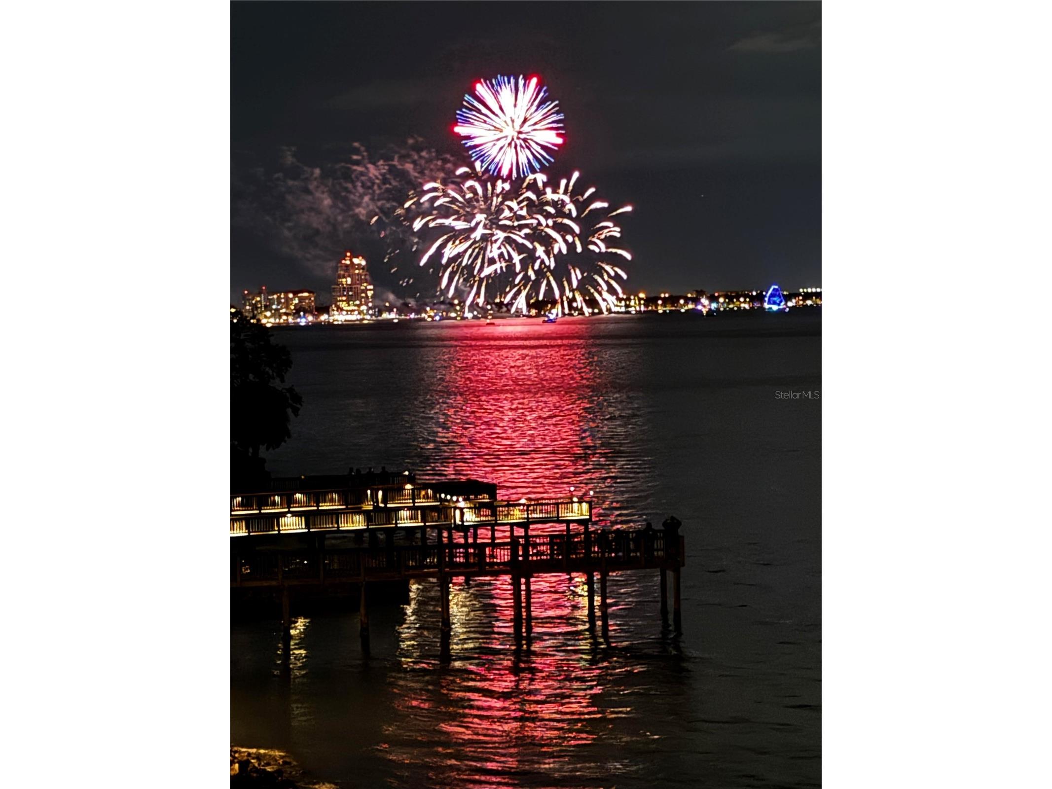4950 Bayshore Boulevard #22 Tampa FL 33611 TB8485618 image95