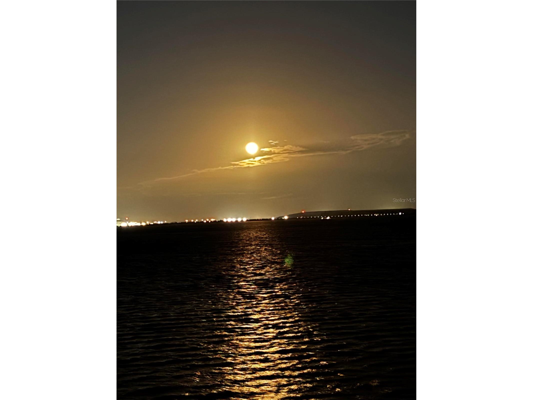 4950 Bayshore Boulevard #22 Tampa FL 33611 TB8485618 image97