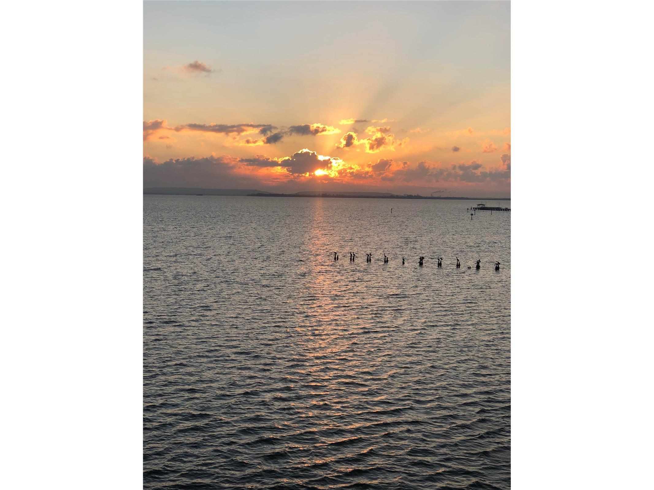 4950 Bayshore Boulevard #22 Tampa FL 33611 TB8485618 image99