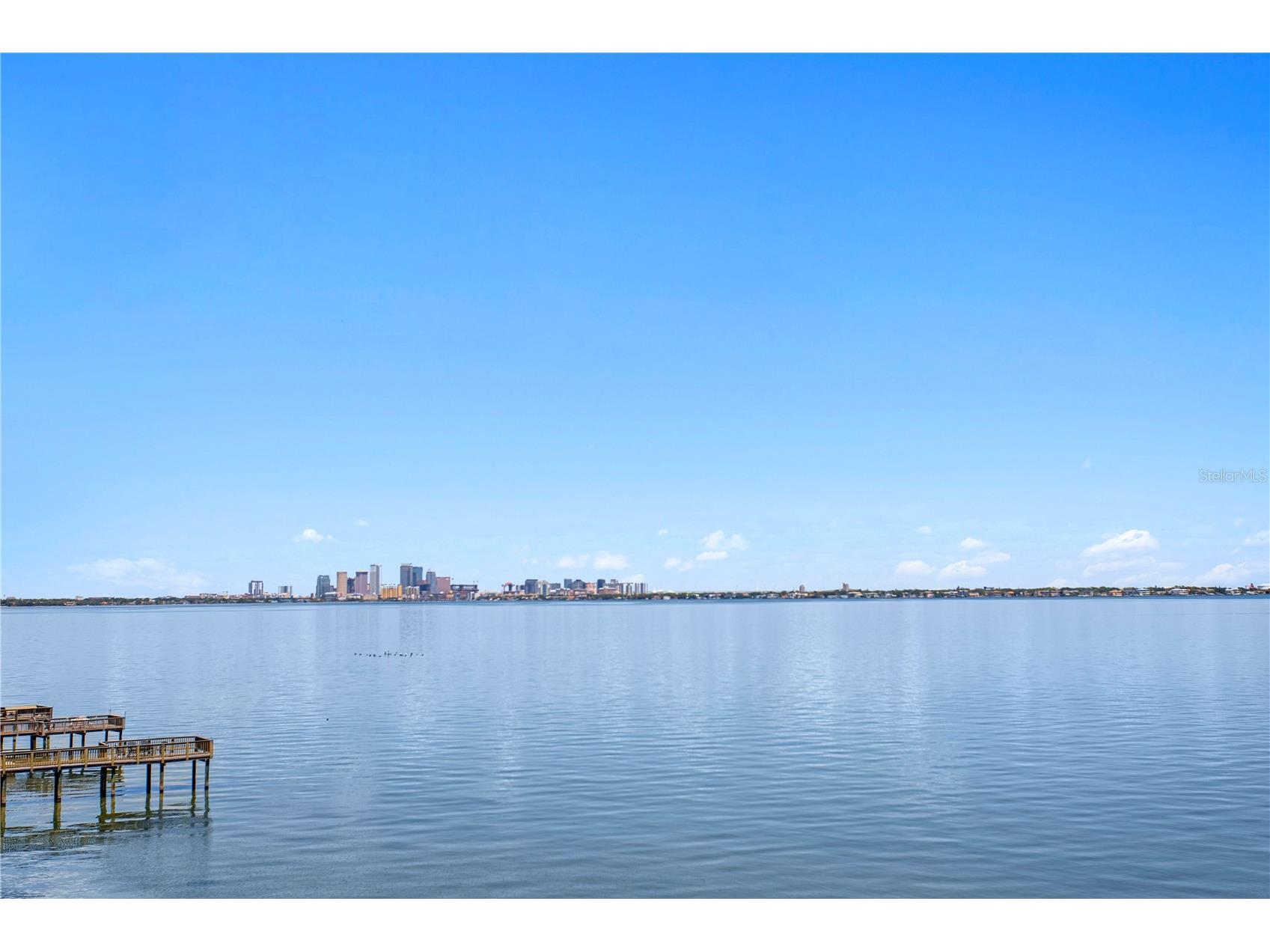 4950 Bayshore Boulevard #25D Tampa FL 33611 TB8494788 image53