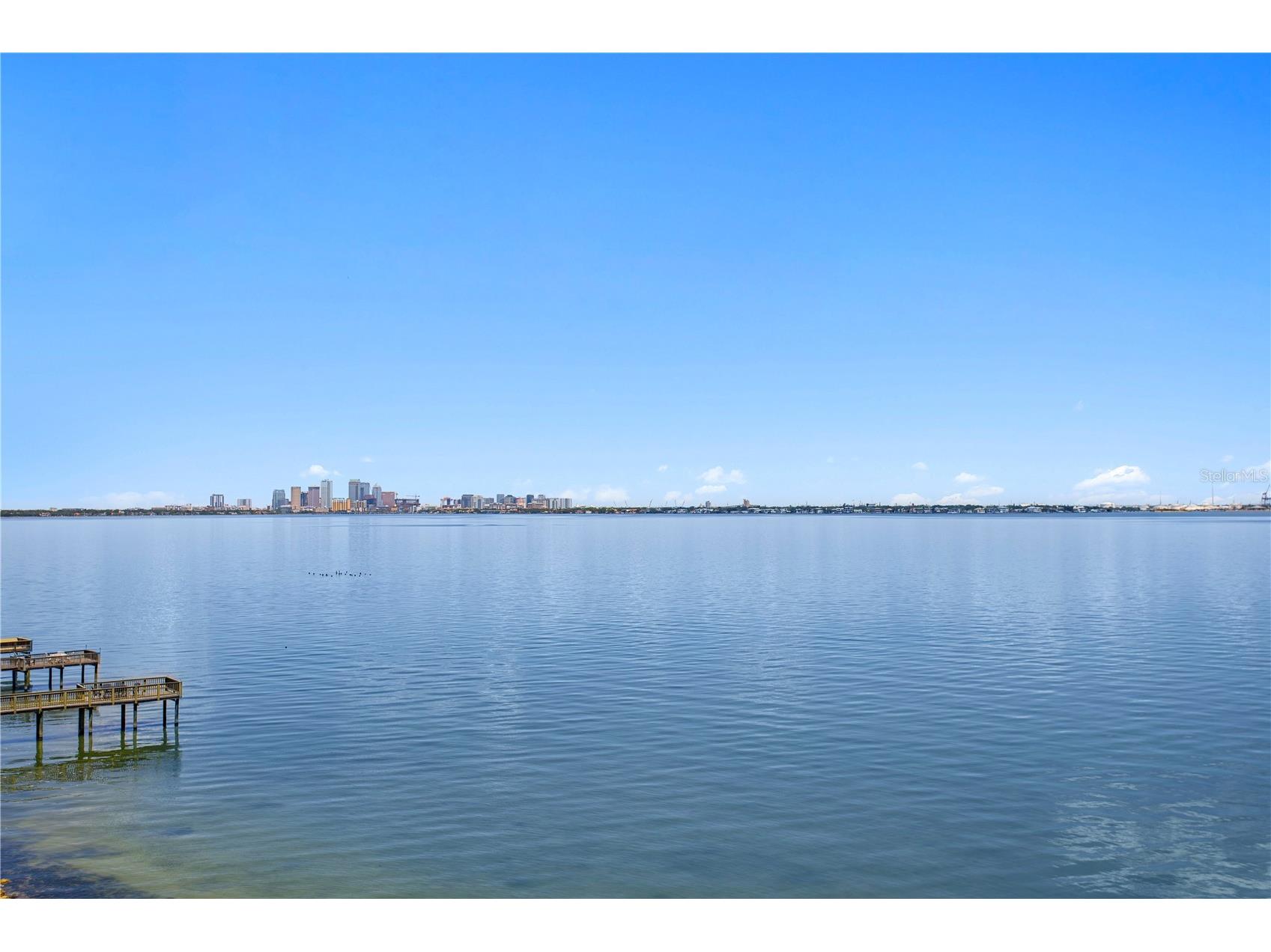 4950 Bayshore Boulevard #25D Tampa FL 33611 TB8494788 image57