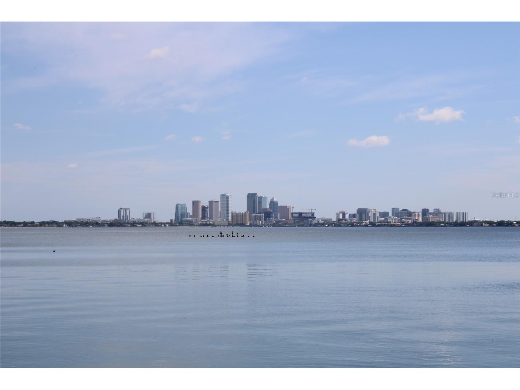 4950 Bayshore Boulevard #25D Tampa FL 33611 TB8494788 image62