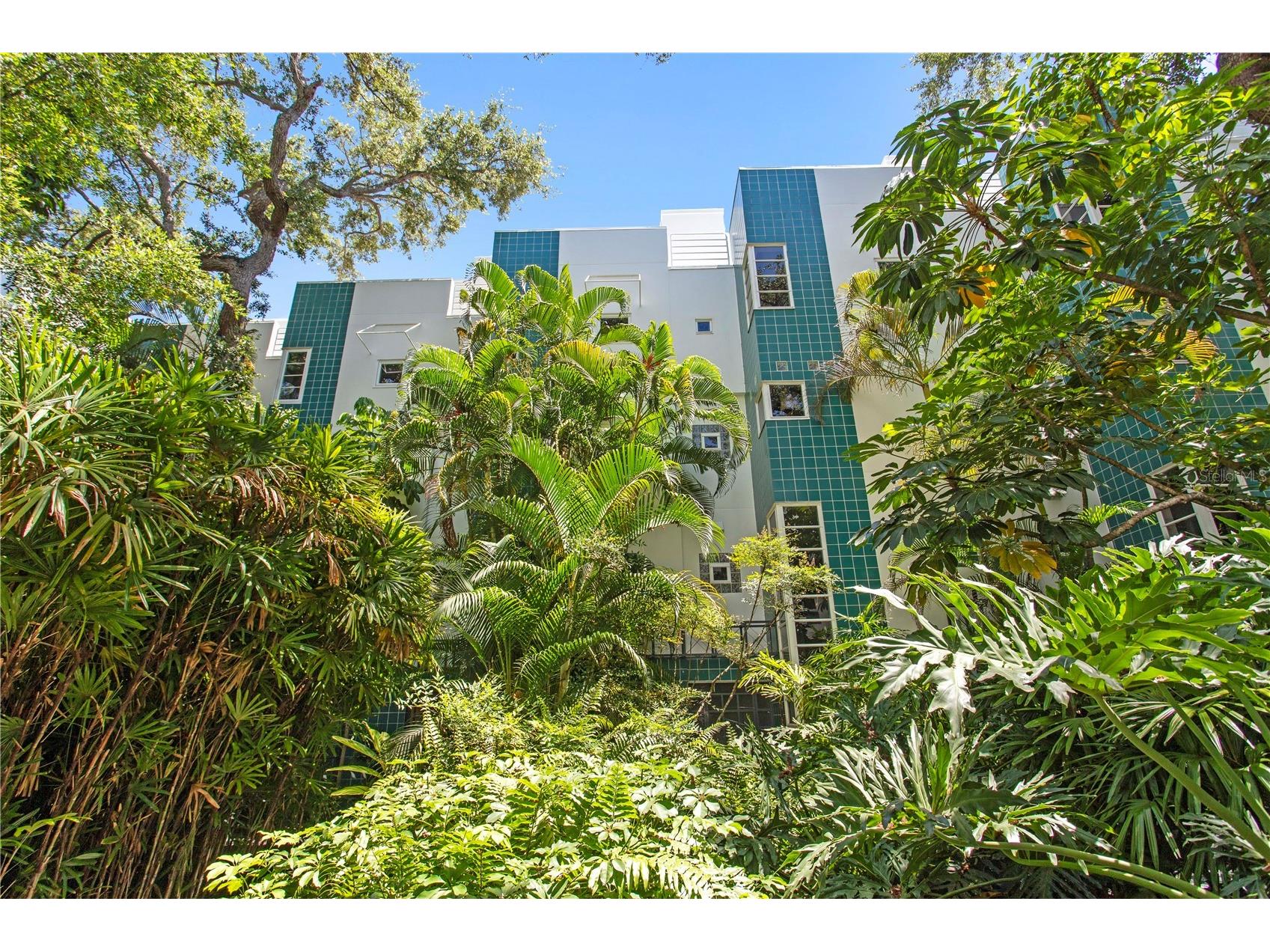 4950 Bayshore Boulevard #25D Tampa FL 33611 TB8494788 image9