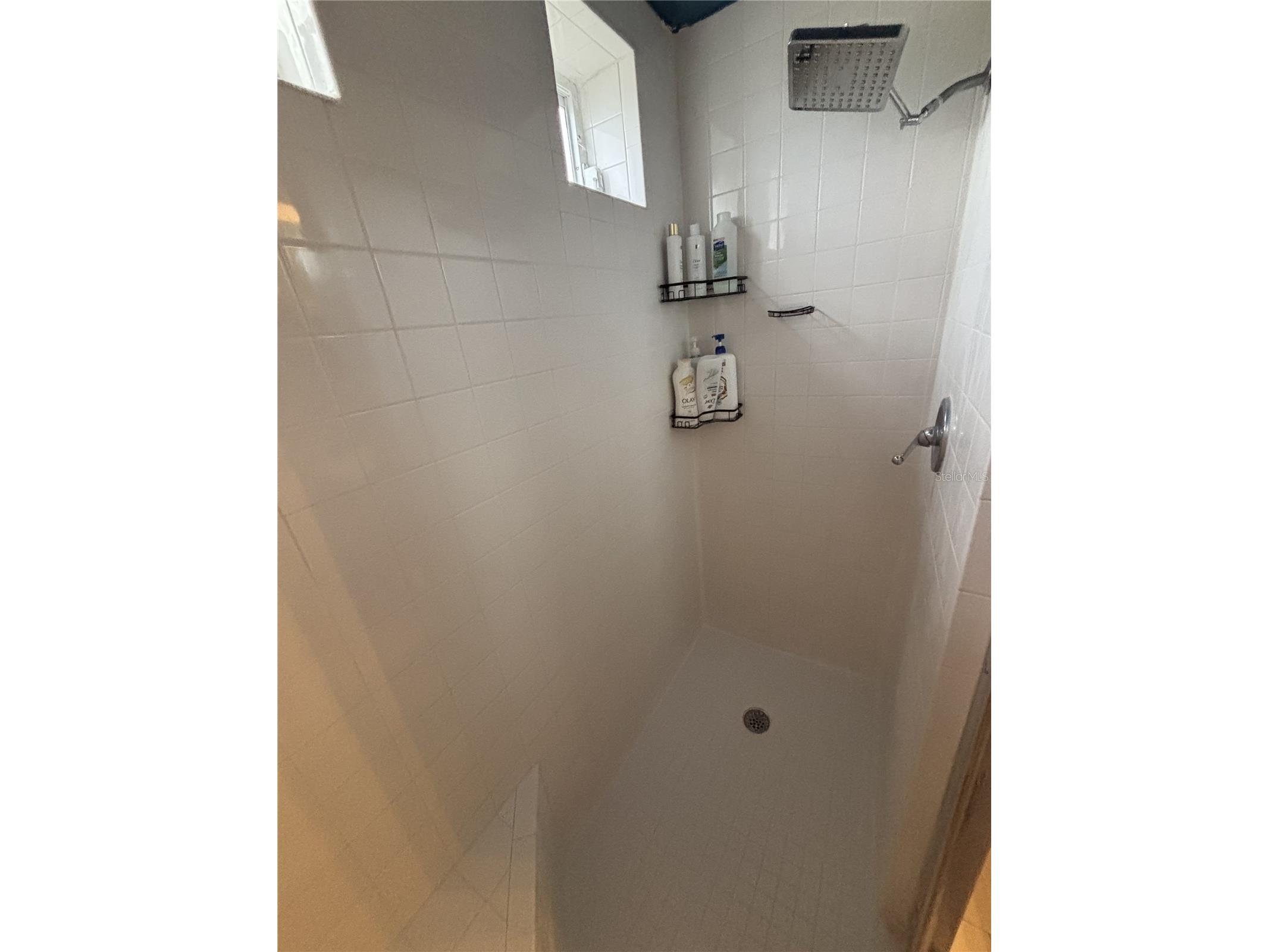 4950 Bayshore Boulevard #28 Tampa FL 33611 TB8529237 image11
