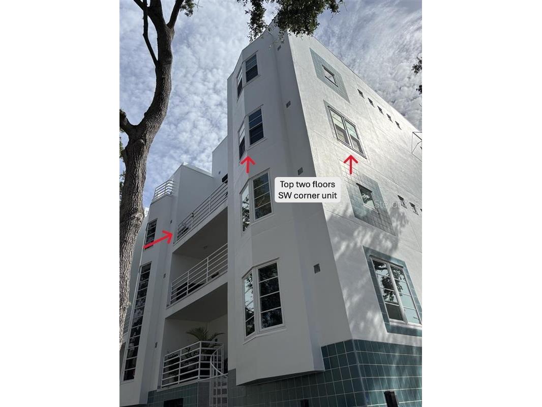 4950 Bayshore Boulevard #28 Tampa FL 33611 TB8529237 image2