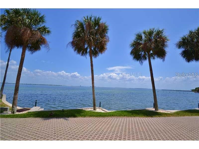 4950 Bayshore Boulevard #28 Tampa FL 33611 TB8529237 image23