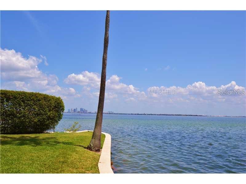 4950 Bayshore Boulevard #28 Tampa FL 33611 TB8529237 image26