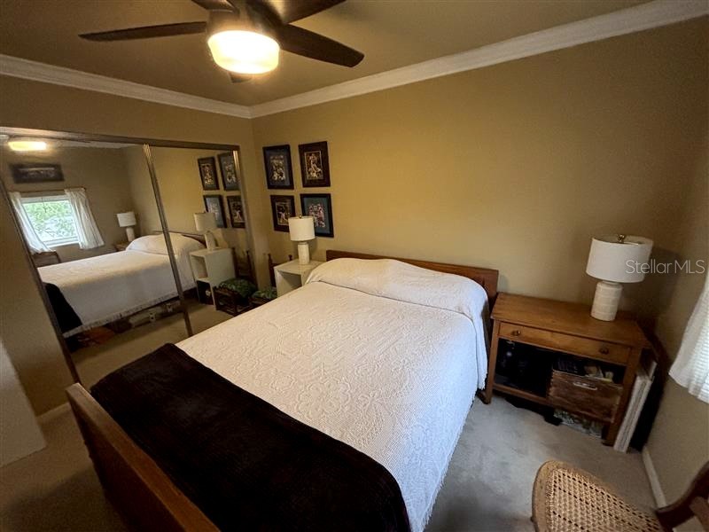 4950 Bayshore Boulevard #28 Tampa FL 33611 TB8529237 image6
