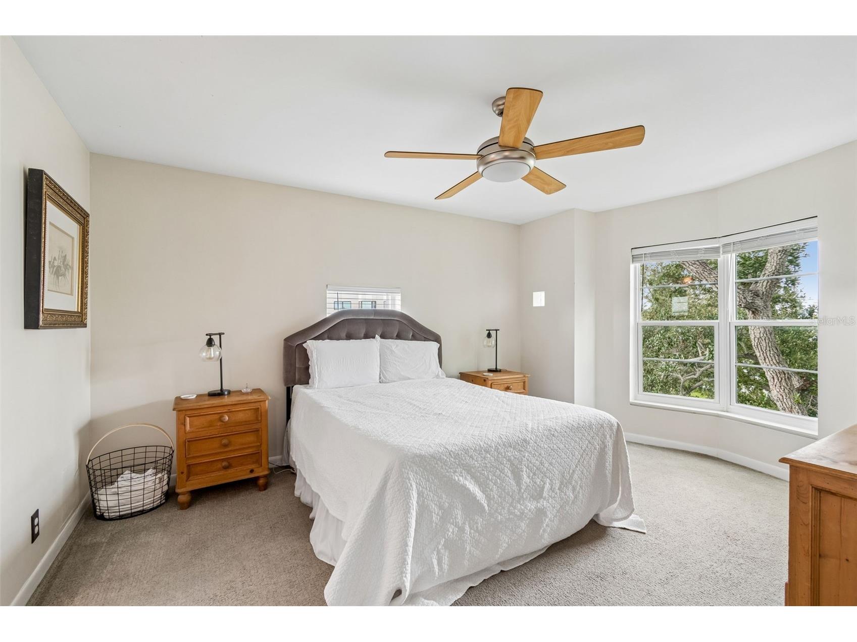4950 Bayshore Boulevard #30 Tampa FL 33611 TB8513827 image41