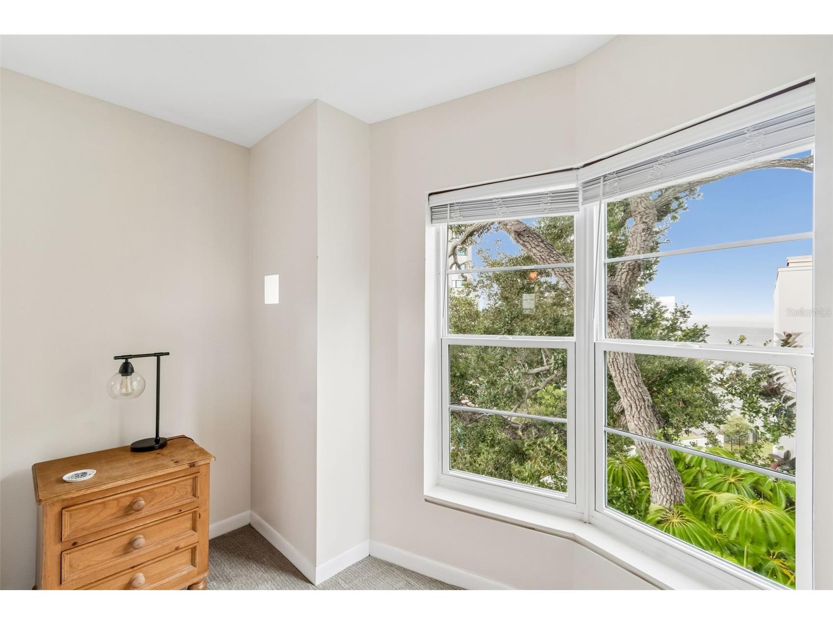 4950 Bayshore Boulevard #30 Tampa FL 33611 TB8513827 image45