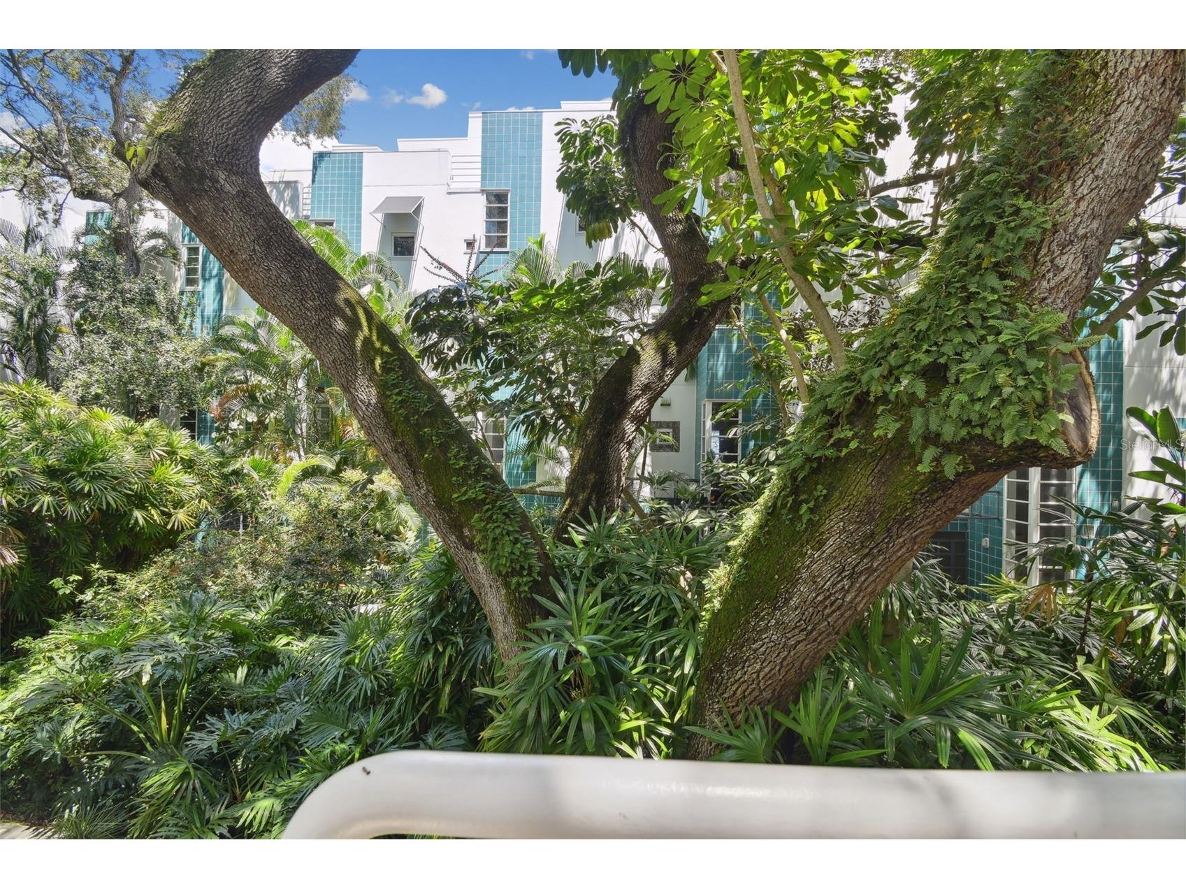 4950 Bayshore Boulevard #30 Tampa FL 33611 TB8513827 image62