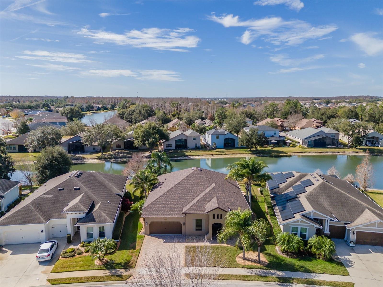 4950 Diamonds Palm Wesley Chapel FL 33543 TB8467939 image40