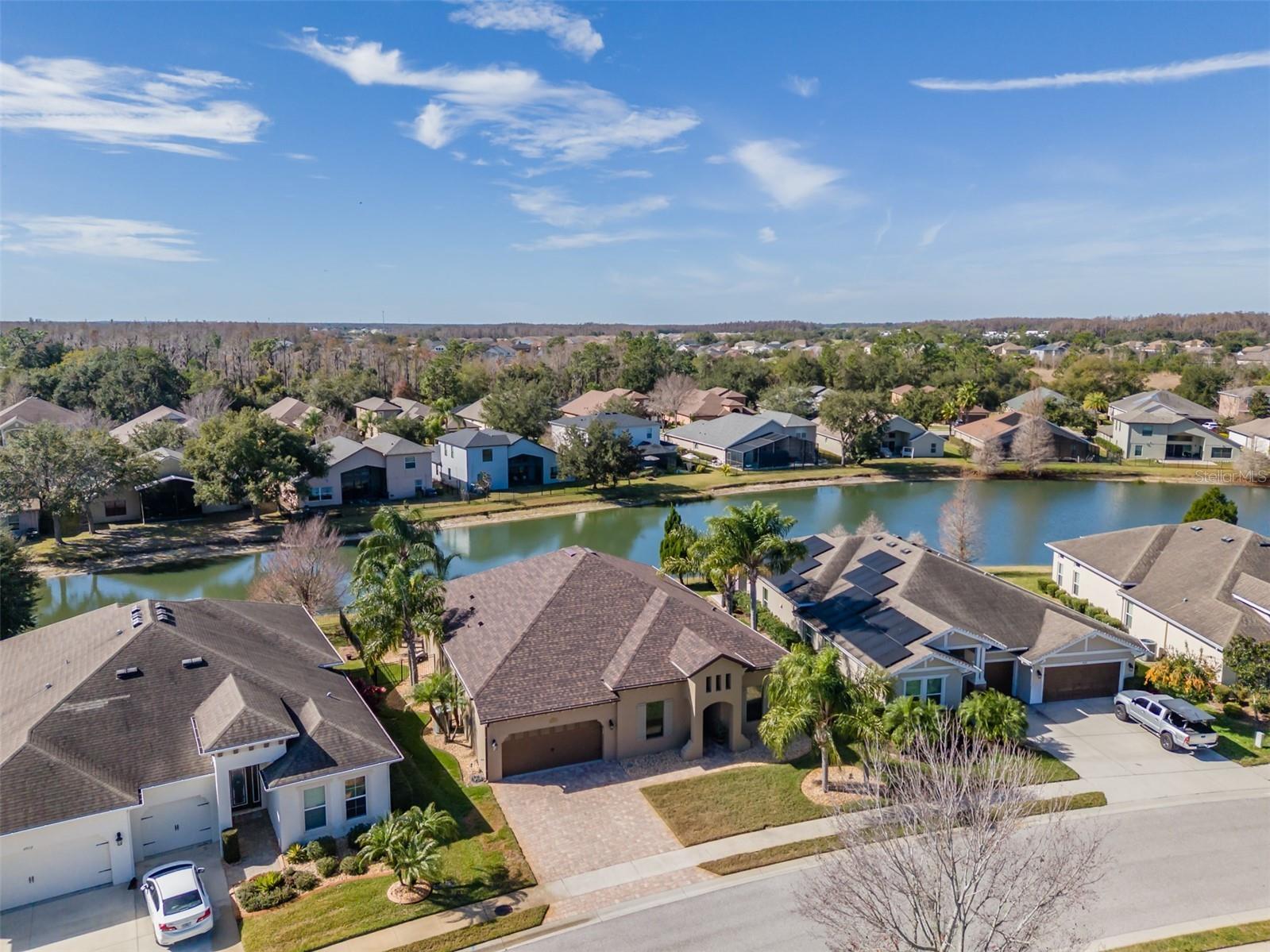 4950 Diamonds Palm Wesley Chapel FL 33543 TB8467939 image41