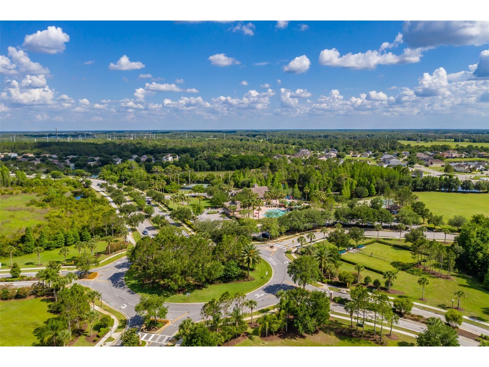 4950 Diamonds Palm Wesley Chapel FL 33543 TB8467939 image57
